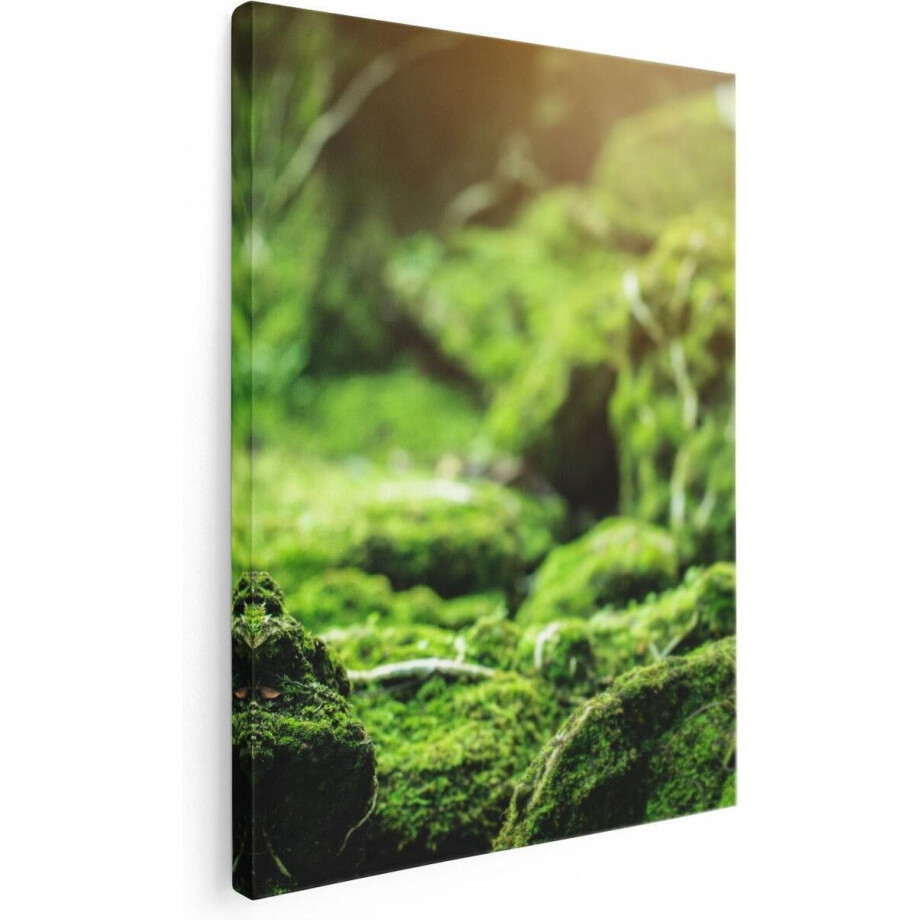 Artaza Canvas Schilderij Bos - 30x40 cm - Klein - Wanddecoratie Mos - Muurdecoratie Landschap - Kamer Accessoires Artaza Canvas Schilderij Bos - 30x40 cm - Klein - Wanddecoratie Mos - Muurdecoratie Landschap - Kamer Accessoires afbeelding 1