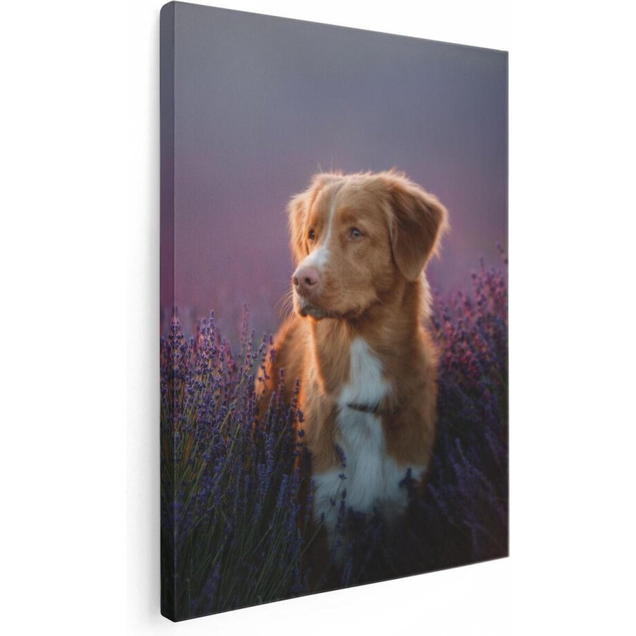 Artaza Canvas Schilderij Hond - 60x80 cm - Wanddecoratie Lavendel - Muurdecoratie Woonkamer - Schilderijen Op Canvas afbeelding 1