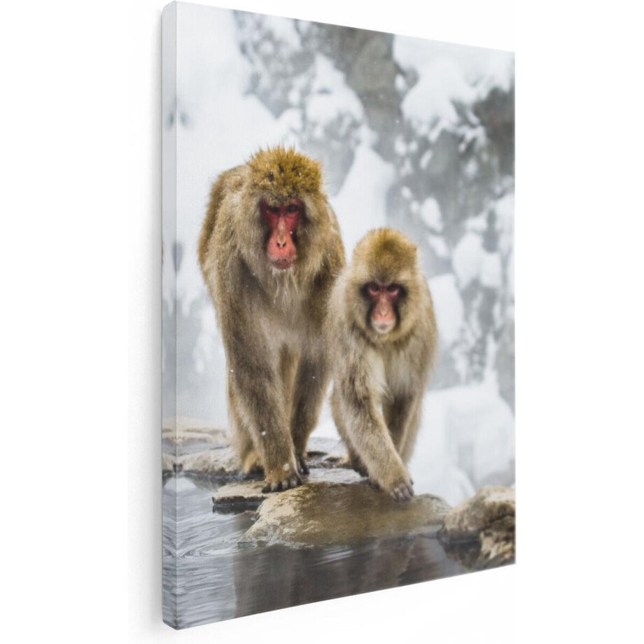 Artaza Canvas Schilderij Twee Aapjes In De Sneeuw Op Rotsen - 60x80 - Foto Op Canvas - Canvas Print afbeelding 1