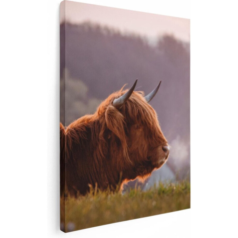 Artaza Canvas Schilderij Schotse Hooglander Koe Ligt In Het Gras - 60x80 - Foto Op Canvas - Canvas Print afbeelding 1