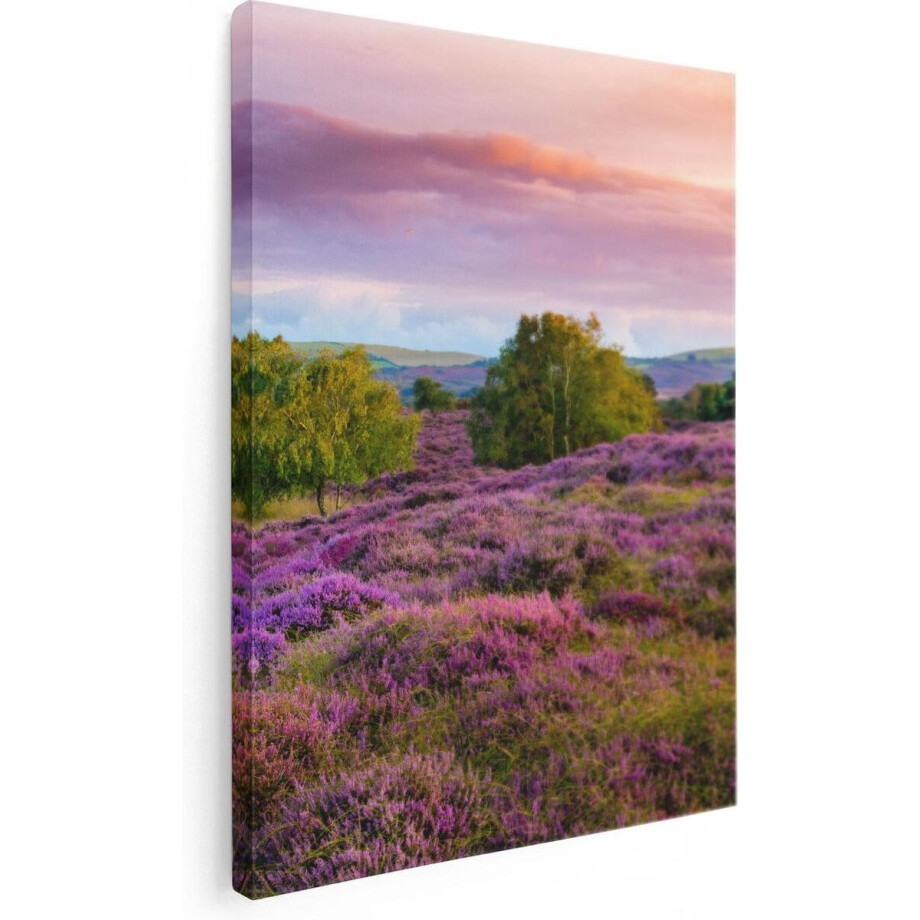 Artaza Canvas Schilderij Paarse Weide - 30x40 - Klein - Foto Op Canvas - Canvas Print Artaza Canvas Schilderij Paarse Weide - 30x40 - Klein - Foto Op Canvas - Canvas Print afbeelding 1