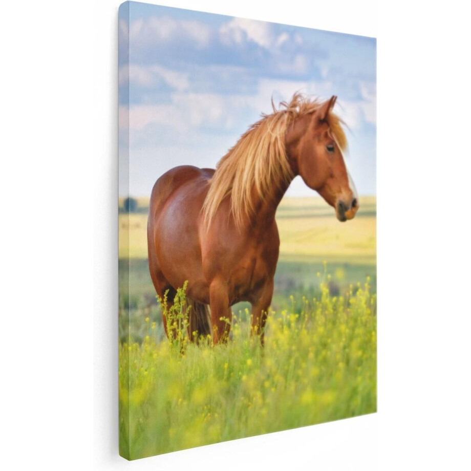 Artaza Canvas Schilderij Bruin Paard In De Wei - 30x40 - Klein - Foto Op Canvas - Canvas Print afbeelding 1