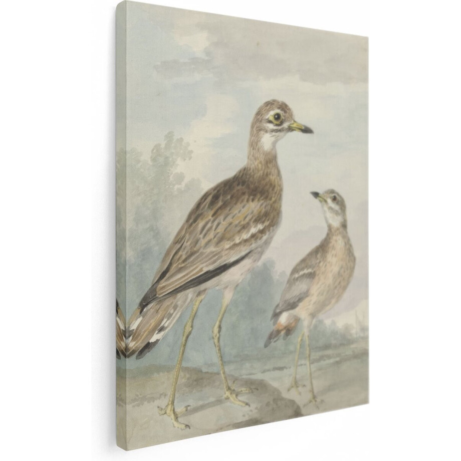 Artaza Canvas Schilderij Twee Grielen - Aert Schouman - 90x120 - Groot - Kunst - Wanddecoratie Woonkamer afbeelding 1