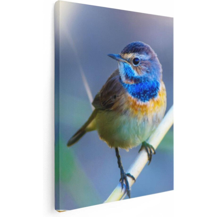 Artaza Canvas Schilderij Vogel - 60x80 cm - Wanddecoratie Vogels - Muurdecoratie Natuur - Schilderijen Op Canvas Woonkamer afbeelding 1