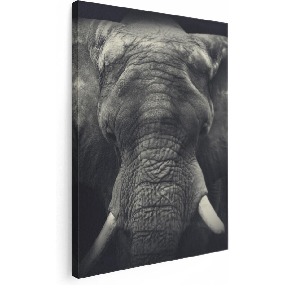 Artaza Canvas Schilderij Olifantenkop - Olifant - Zwart Wit - 60x80 - Foto Op Canvas - Canvas Print Artaza Canvas Schilderij Olifantenkop - Olifant - Zwart Wit - 60x80 - Foto Op Canvas - Canvas Print afbeelding 1