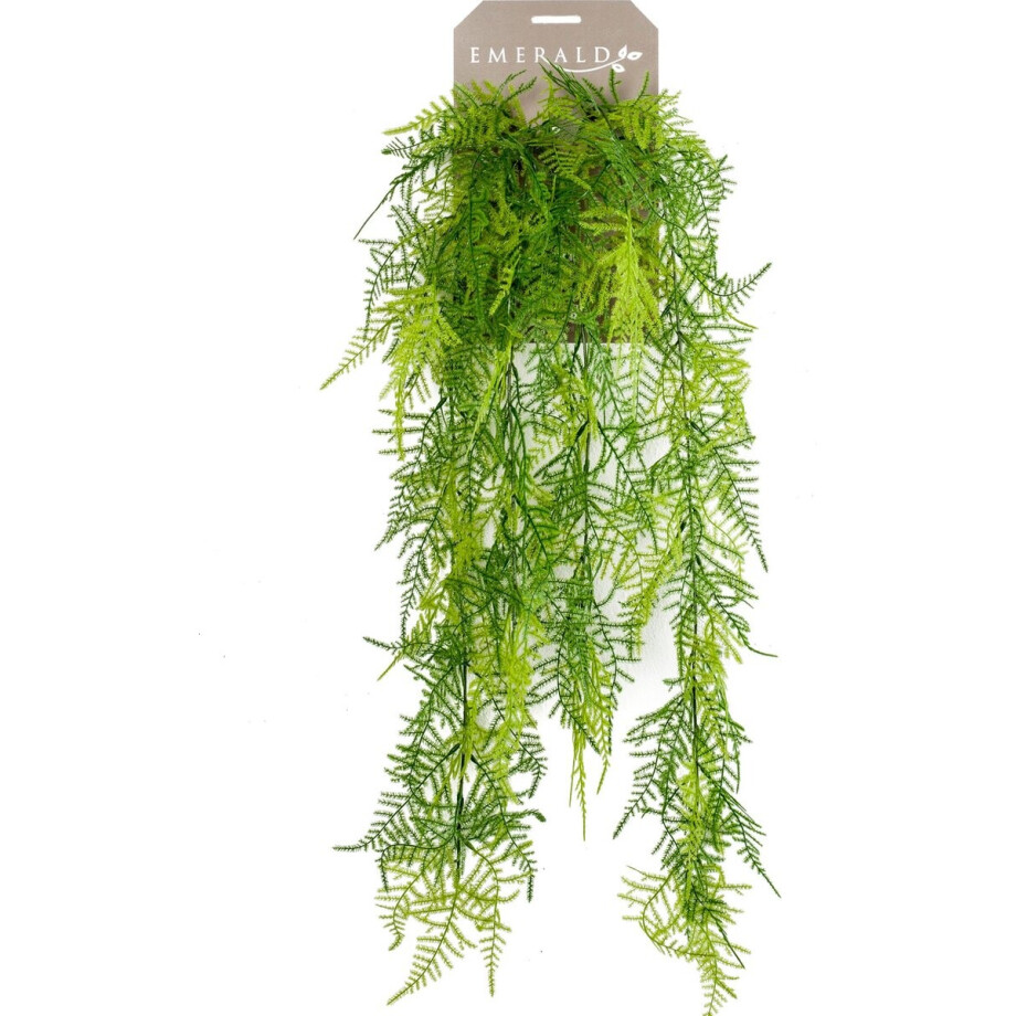 Emerald - Kunst Hangplant Asparagus Plumosus 80cm - Kunstplant voor binnen afbeelding 1