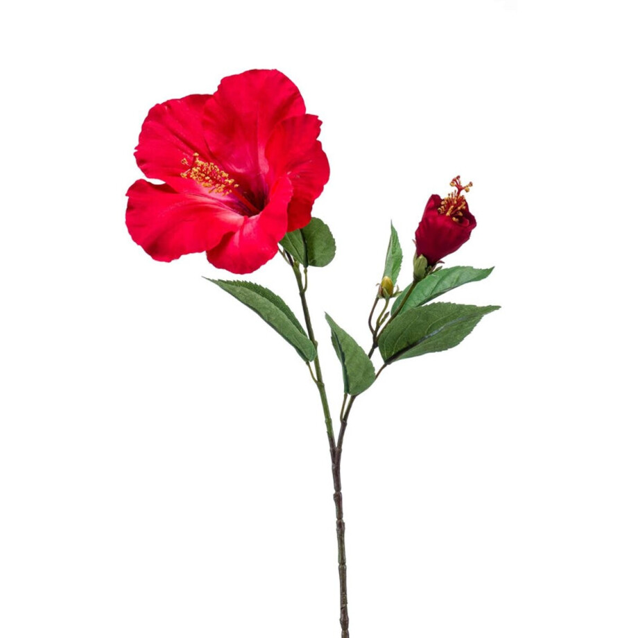 Emerald - Kunstbloem Hibiscus 65cm rood - Kunstplant voor binnen Emerald - Kunstbloem Hibiscus 65cm rood - Kunstplant voor binnen afbeelding 1