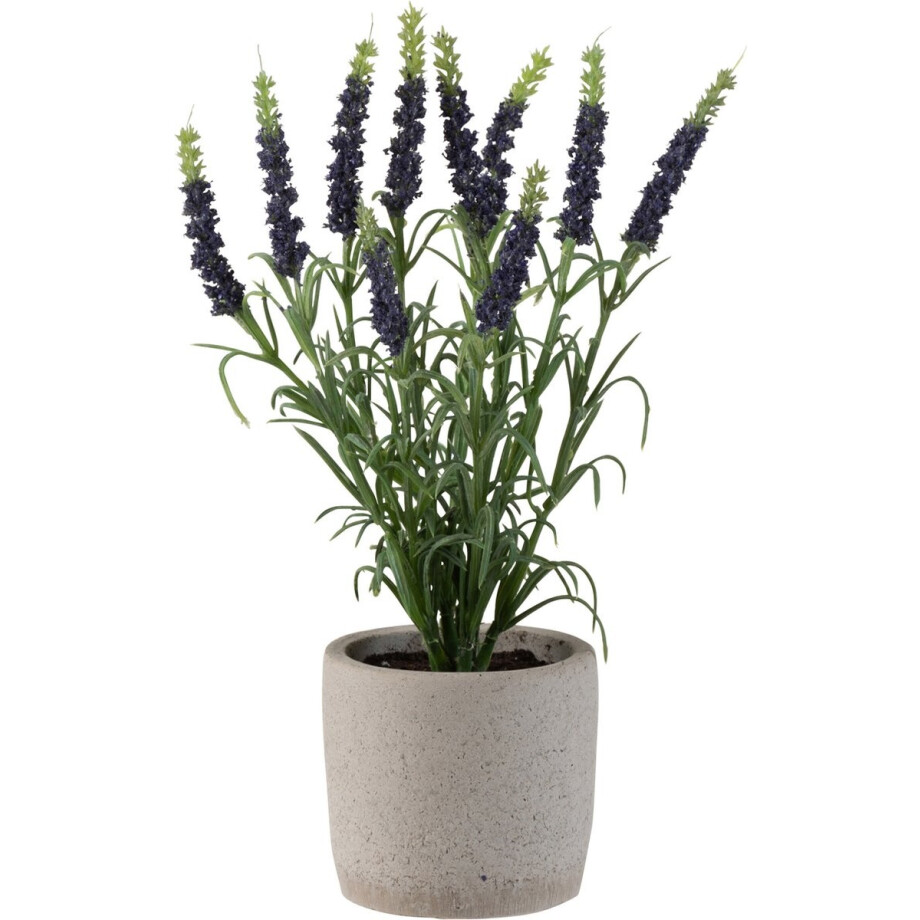J-Line Lavendel In Pot Plastiek Donker Paars J-Line Lavendel In Pot Plastiek Donker Paars afbeelding 1