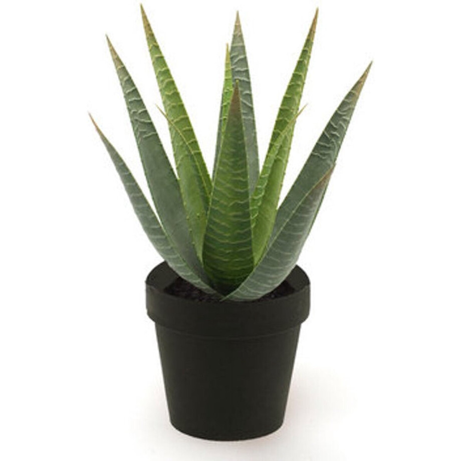 Emerald - Kunstplant in pot Aloe Vera 32cm - Kunstplant voor binnen afbeelding 1