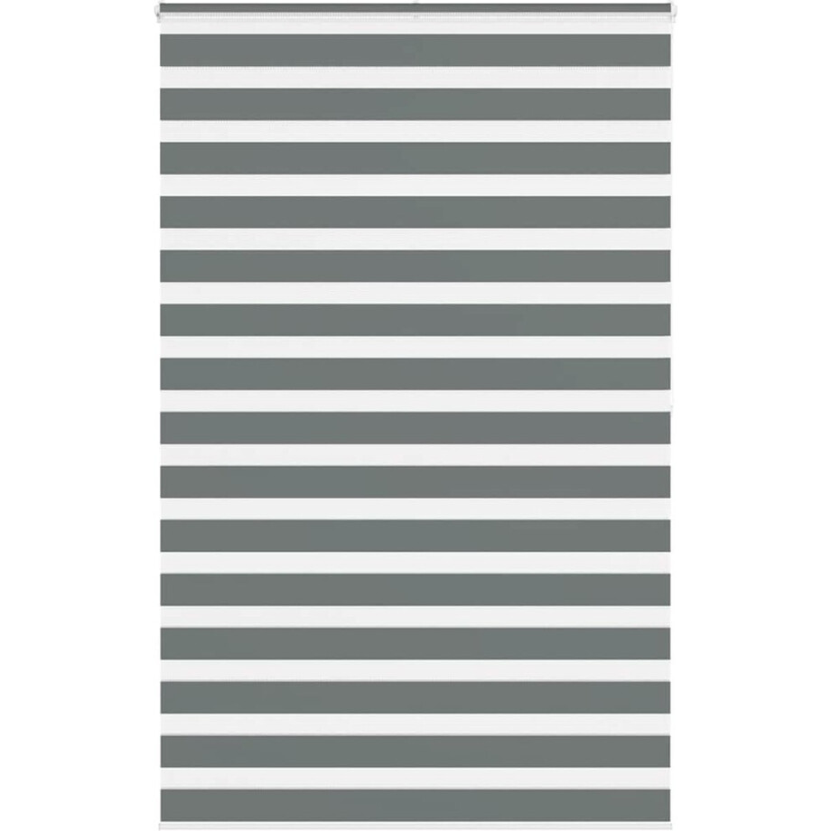 vidaXL - Zebra - rolgordijn - 140x200 - cm - stofbreedte - 135,9 - cm - donkergrijs vidaXL - Zebra - rolgordijn - 140x200 - cm - stofbreedte - 135,9 - cm - donkergrijs afbeelding 1