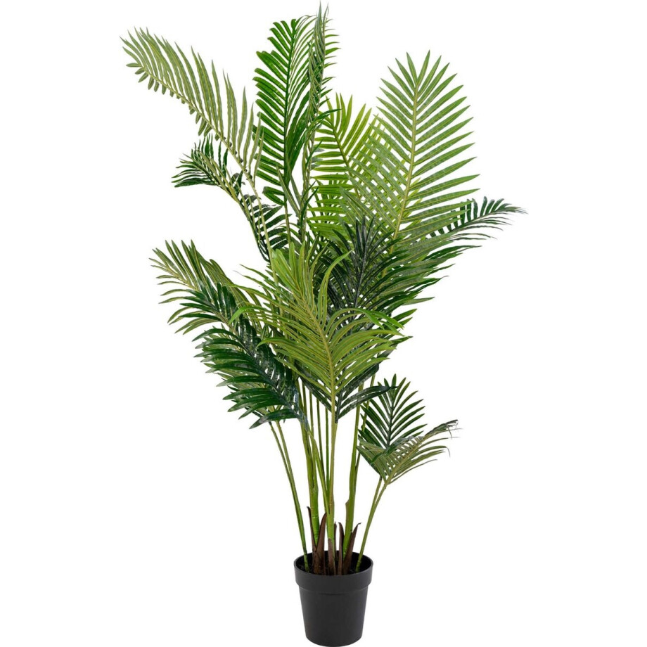 House Nordic Arecapalm Kunstplant H175 cm afbeelding 1
