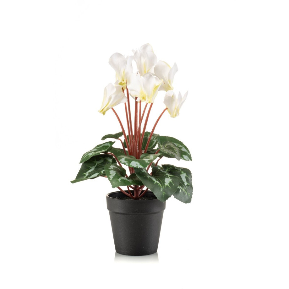 Emerald - Kunstplant Cyclamen in pot 30cm wit/groen - Kunstplant voor binnen afbeelding 1