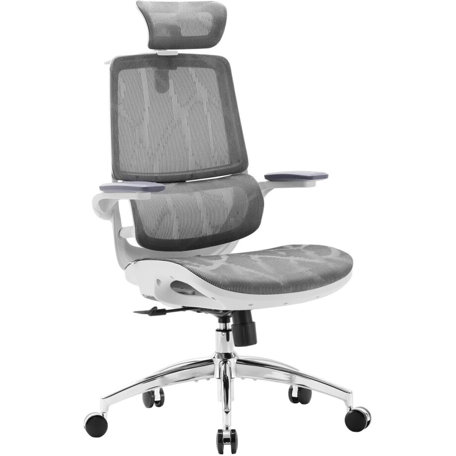 SIHOO M59 Ergonomische Bureaustoel - 3D Opklapbare Armleuningen - Dubbel Rugleuningontwerp en Dynamische Lendensteun - Kantoor/Thuis/Gaming - Grijs afbeelding 1