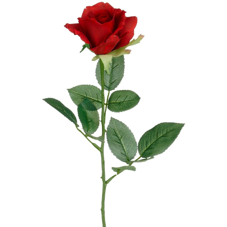 Mica Decorations Kunstbloem Roos Rubina - H62 cm - rood - kunststof - stelen kunstbloemen - boeket - rozen bloemetjes afbeelding 1