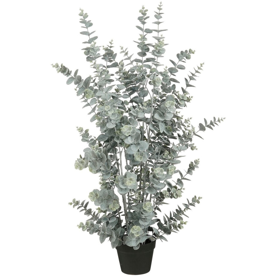 Mica Decorations Eucalyptus Kunstplant in Pot - H113 x Ø40 cm - Groen Mica Decorations Eucalyptus Kunstplant in Pot - H113 x Ø40 cm - Groen afbeelding 1
