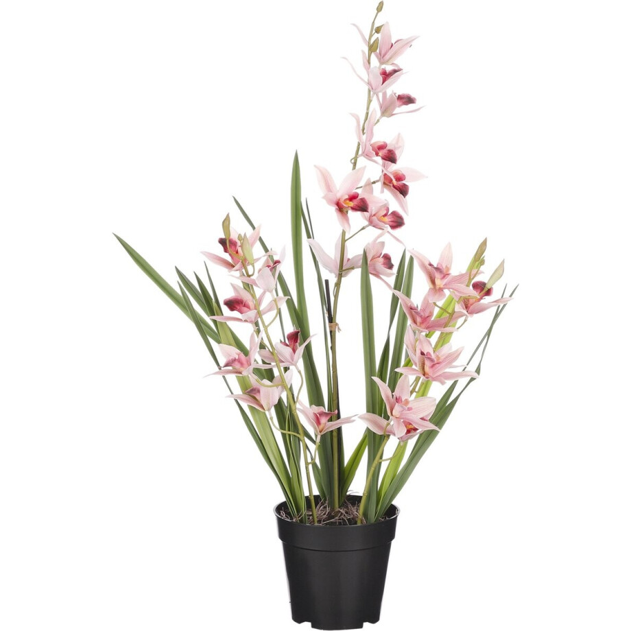 Mica Decorations Orchidee bloem kunstplant - perzik roze - H66 x B34 cm afbeelding 1