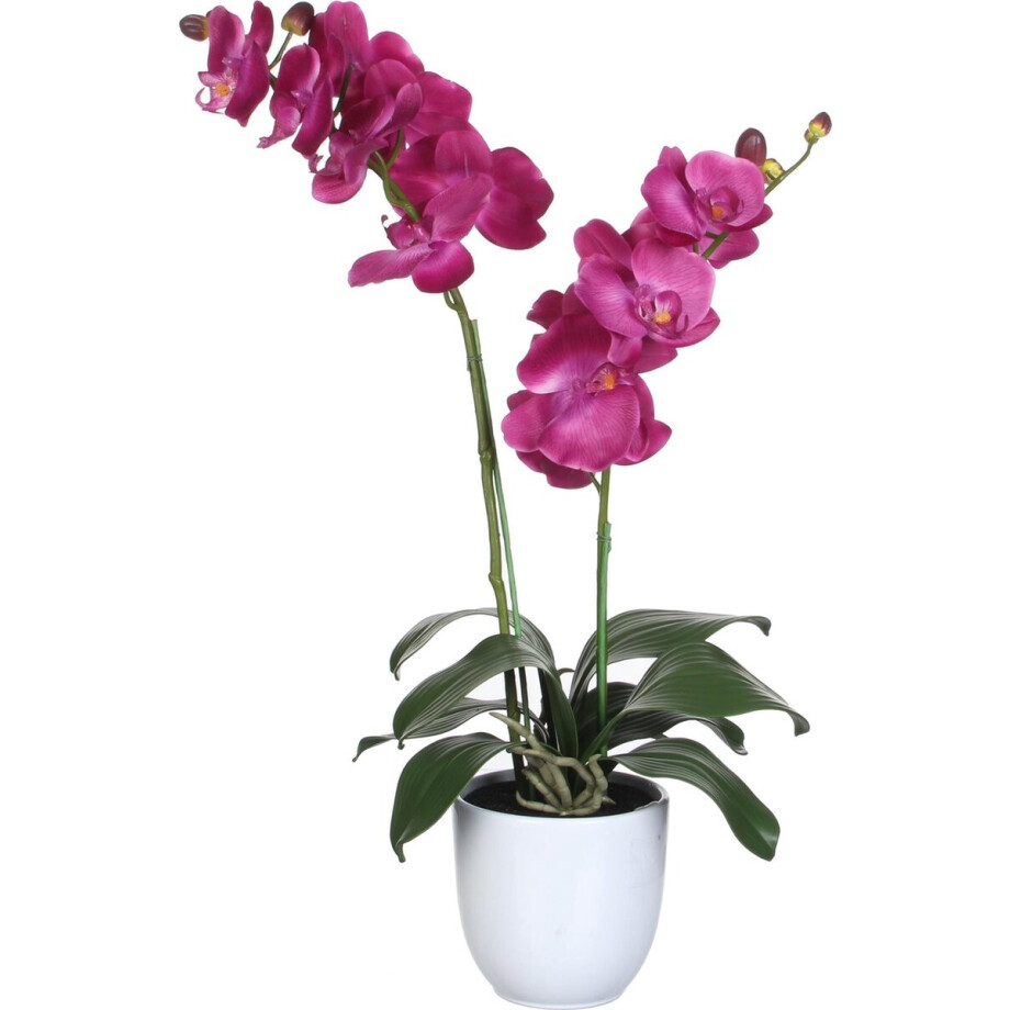 Mica Decorations Phalaenopsis Kunstplant in Bloempot Tusca - H100 x Ø53 cm - Wit afbeelding 1