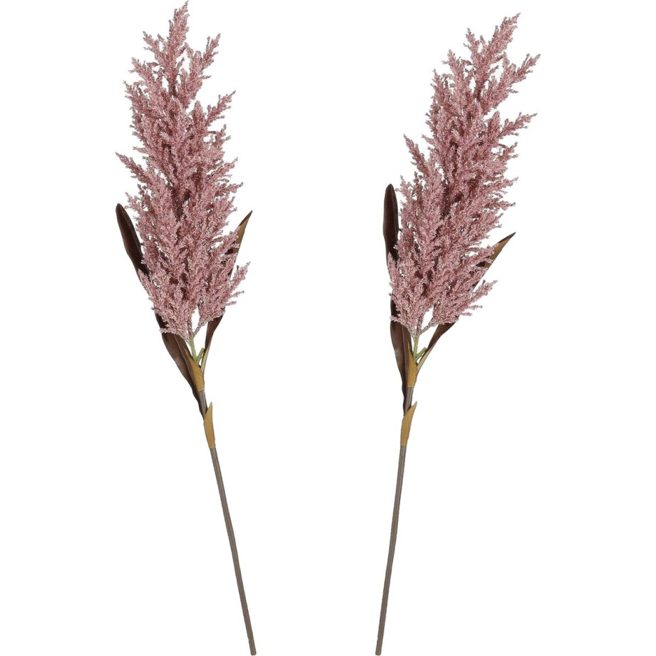 Mica Decorations Pampasgras pluim losse steel/tak - 2x - oudroze - 88 cm - Decoratie kunst bloemen afbeelding 1