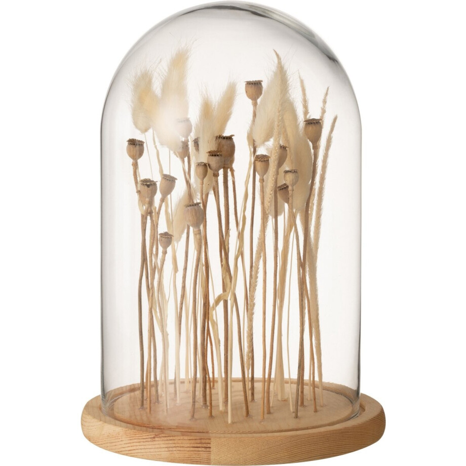 J-Line decoratie Stolp Droogbloemen - glas/hout - ecru/bruin - small J-Line decoratie Stolp Droogbloemen - glas/hout - ecru/bruin - small afbeelding 1