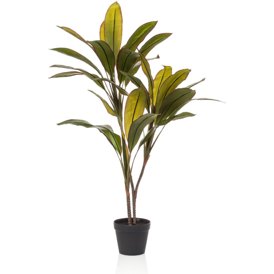Fleurdirect Kunstplant Cordyline - Kunststof - Groen - 0 x 105 x 0 cm (BxHxD) Fleurdirect Kunstplant Cordyline - Kunststof - Groen - 0 x 105 x 0 cm (BxHxD) afbeelding 1
