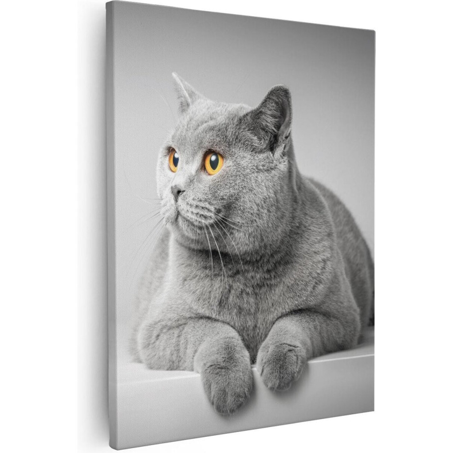 Artaza - Canvas Schilderij - Grijze Kat Met Oranje Ogen - 80x100 - Groot - Foto Op Canvas - Canvas Print afbeelding 1