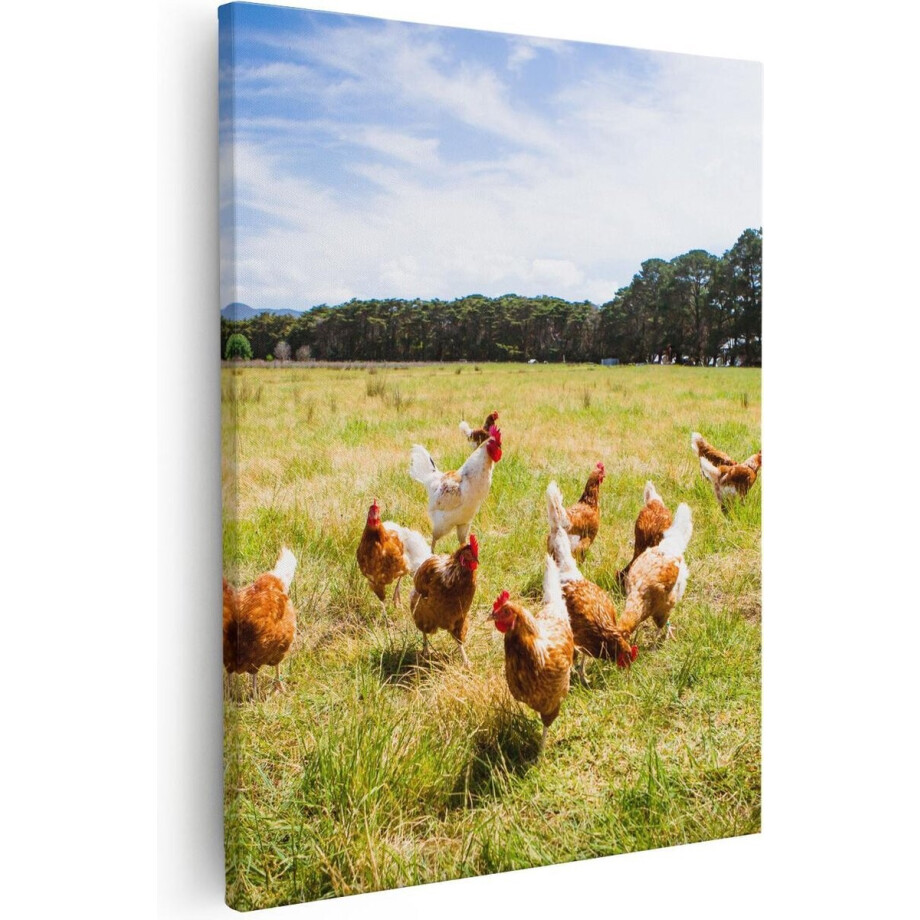 Artaza - Canvas Schilderij - Kippen in het Gras - 40x50 - Foto Op Canvas - Canvas Print afbeelding 1