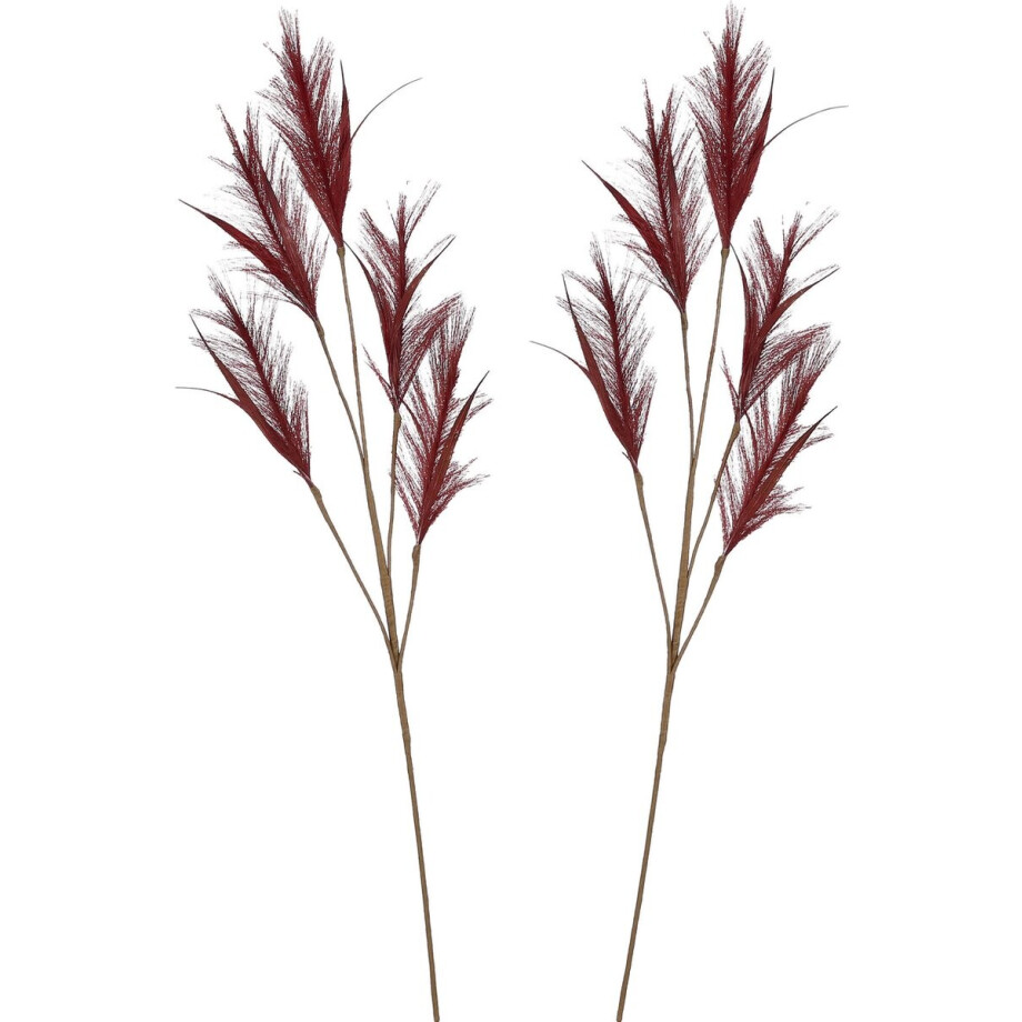 House of Seasons pluimgras losse steel/tak - 2x - meerdere stengels - bordeaux rood - 98 cm - Decoratie kunst bloemen House of Seasons pluimgras losse steel/tak - 2x - meerdere stengels - bordeaux rood - 98 cm - Decoratie kunst bloemen afbeelding 1
