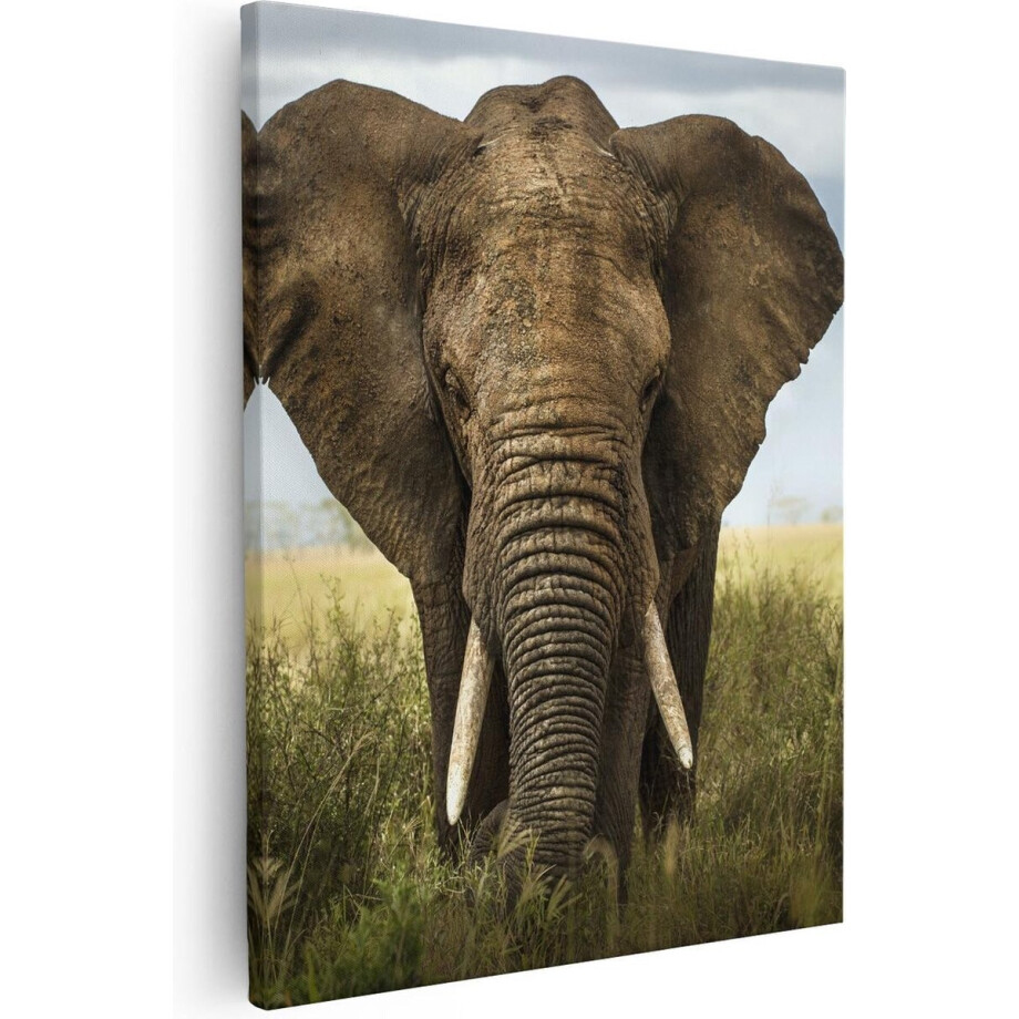 Artaza Canvas Schilderij Olifant In Het Wild - Kleur - 80x100 - Groot - Foto Op Canvas - Canvas Print Artaza Canvas Schilderij Olifant In Het Wild - Kleur - 80x100 - Groot - Foto Op Canvas - Canvas Print afbeelding 1