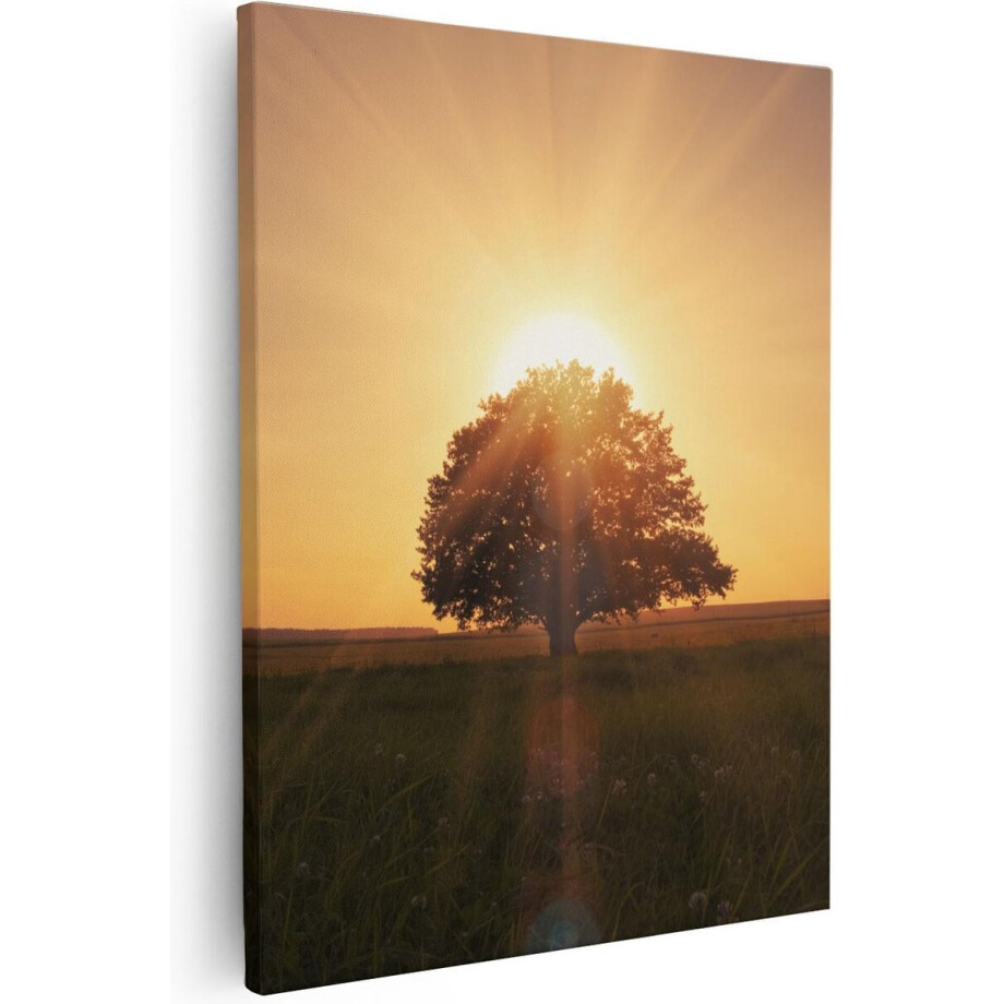 Artaza - Canvas Schilderij - Zonsondergang Achter Een Grote Boom - 40x50 - Foto Op Canvas - Canvas Print Artaza - Canvas Schilderij - Zonsondergang Achter Een Grote Boom - 40x50 - Foto Op Canvas - Canvas Print afbeelding 1