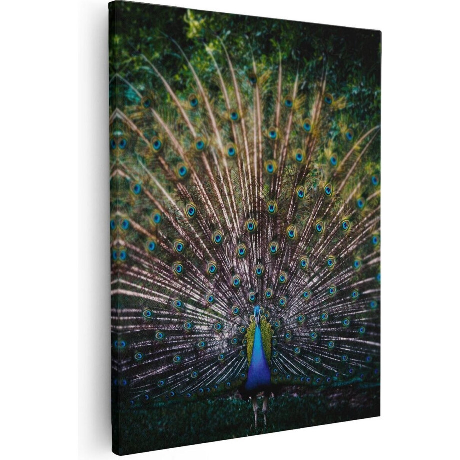 Artaza Canvas Schilderij Pauw - 40x50 cm - Wanddecoratie Woonkamer - Muurdecoratie Vogel - Kamer Accessoires Artaza Canvas Schilderij Pauw - 40x50 cm - Wanddecoratie Woonkamer - Muurdecoratie Vogel - Kamer Accessoires afbeelding 1