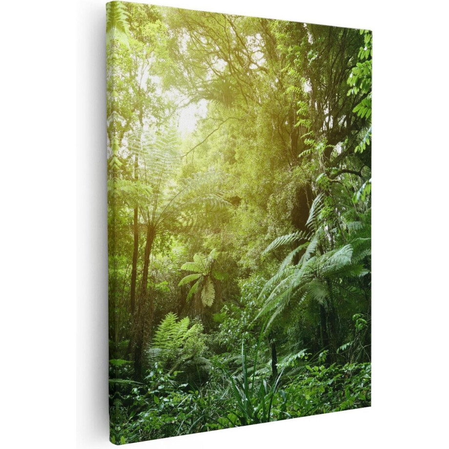 Artaza - Canvas Schilderij - Tropische Jungle Met Zonneschijn - 80x100 - Groot - Foto Op Canvas - Canvas Print afbeelding 1