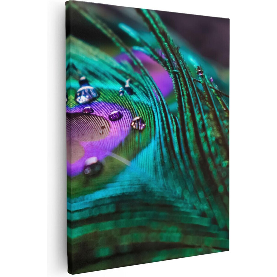 Artaza Canvas Schilderij Pauwenveer - 80x100 cm - Groot - Wanddecoratie Pauw - Muurdecoratie Dieren - Schilderijen Op Canvas Artaza Canvas Schilderij Pauwenveer - 80x100 cm - Groot - Wanddecoratie Pauw - Muurdecoratie Dieren - Schilderijen Op Canvas afbeelding 1