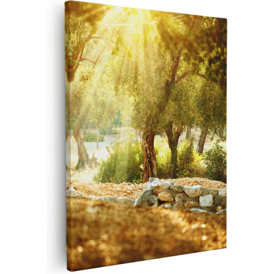 Artaza - Canvas Schilderij - Olijfbomen - Olijfboomgaard - 80x100 - Groot - Foto Op Canvas - Canvas Print Artaza - Canvas Schilderij - Olijfbomen - Olijfboomgaard - 80x100 - Groot - Foto Op Canvas - Canvas Print afbeelding 1