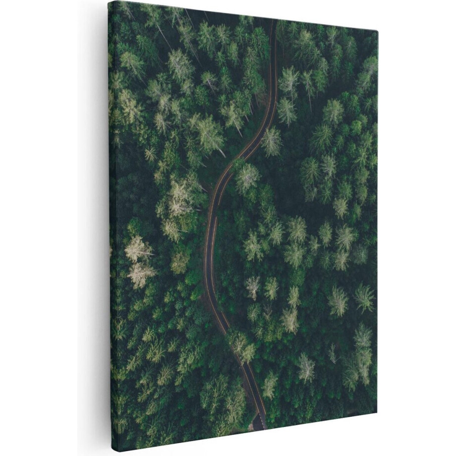 Artaza Canvas Schilderij Bos - 80x100 cm - Groot - Wanddecoratie Bos Vanuit Vogelperspectief - Muurdecoratie Natuur - Schilderijen Woonkamer afbeelding 1