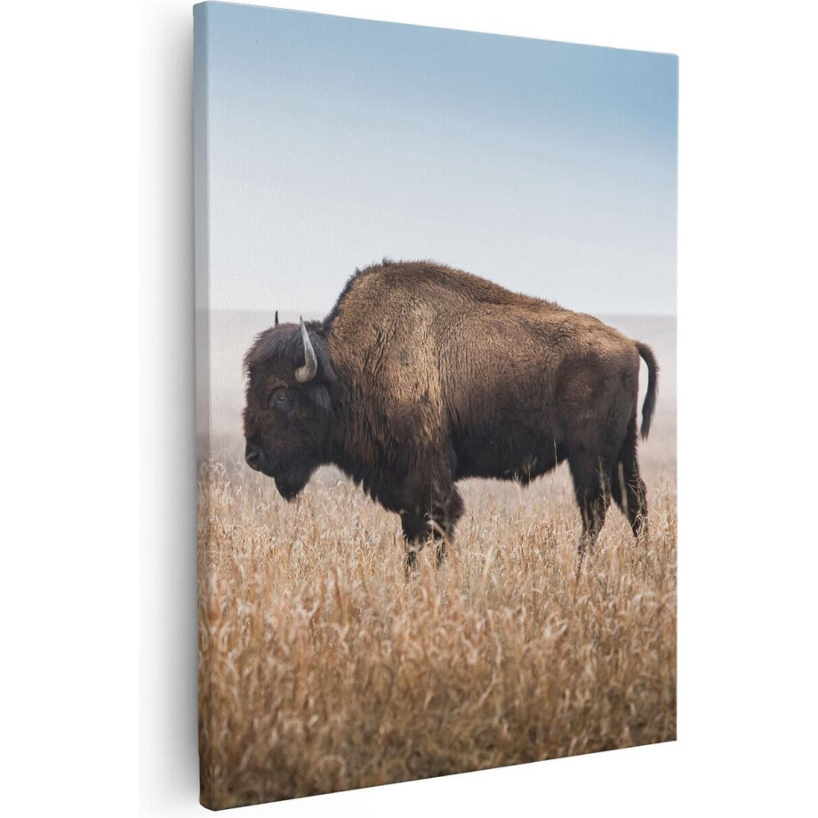 Artaza - Canvas Schilderij - Bizon in het Gras - 80x100 - Groot - Foto Op Canvas - Canvas Print Artaza - Canvas Schilderij - Bizon in het Gras - 80x100 - Groot - Foto Op Canvas - Canvas Print afbeelding 1