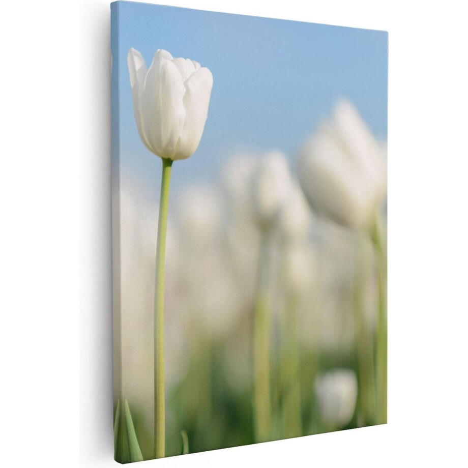 Artaza Canvas Schilderij Tulpenveld - 40x50 cm - Muurdecoratie Bloemen - Wanddecoratie Woonkamer - Kamer Accessoires afbeelding 1