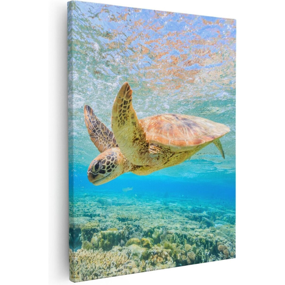 Artaza - Canvas Schilderij - Schildpad Zwemt in de Zee bij het Rif - 40x50 - Foto Op Canvas - Canvas Print Artaza - Canvas Schilderij - Schildpad Zwemt in de Zee bij het Rif - 40x50 - Foto Op Canvas - Canvas Print afbeelding 1