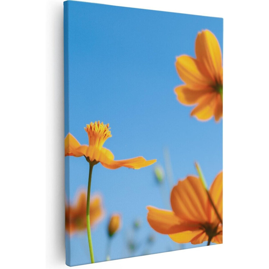 Artaza Canvas Schilderij Oranje Cosmea Bloemen - 40x50 - Foto Op Canvas - Canvas Print Artaza Canvas Schilderij Oranje Cosmea Bloemen - 40x50 - Foto Op Canvas - Canvas Print afbeelding 1