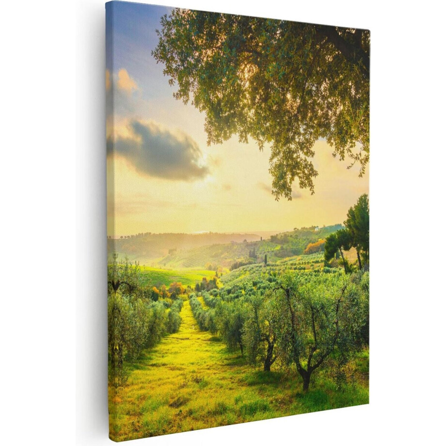 Artaza - Canvas Schilderij - Olijvenbomen - Olijvengaard - 80x100 - Groot - Foto Op Canvas - Canvas Print afbeelding 1
