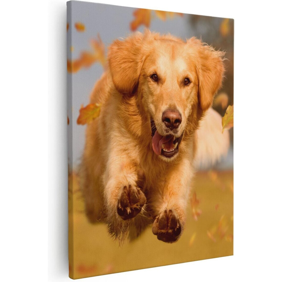 Artaza Canvas Schilderij Golden Retriever Hond In De Herfst Bladeren - 40x50 - Foto Op Canvas - Canvas Print afbeelding 1