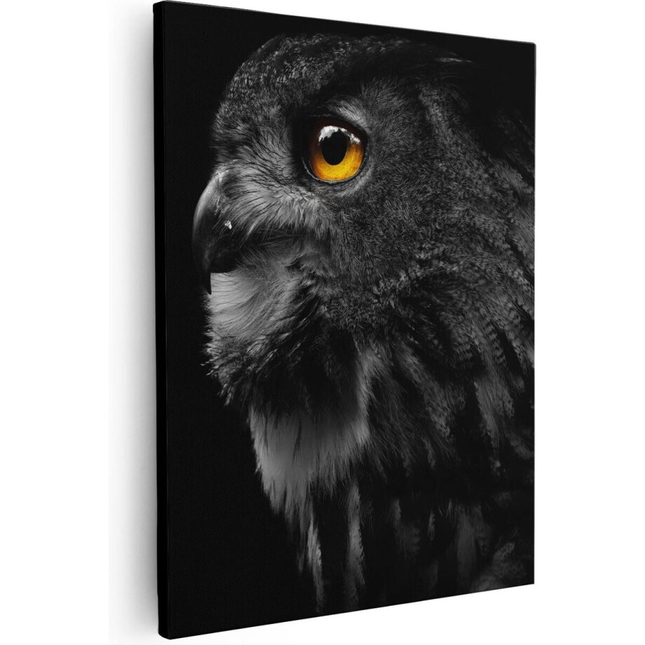 Artaza - Canvas Schilderij - Zwarte Uil Met Gouden Ogen  - 80x100 - Groot - Foto Op Canvas - Canvas Print afbeelding 1