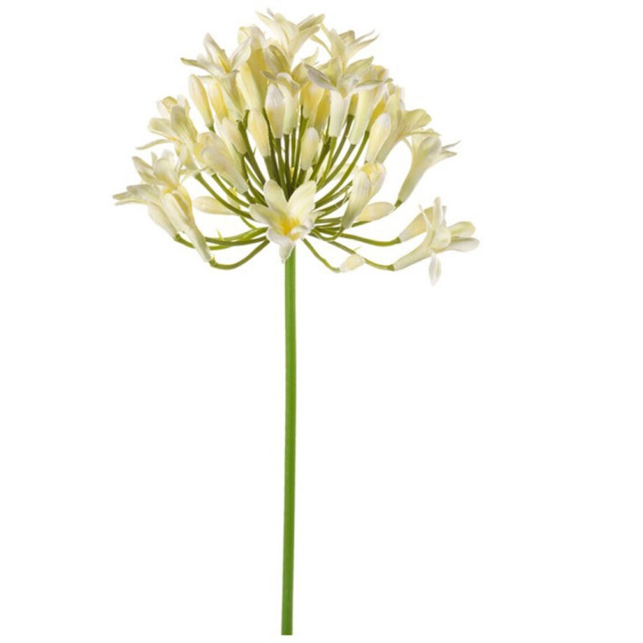 Emerald - Kunstbloem Agapanthus 75cm wit - Kunstplant voor binnen Emerald - Kunstbloem Agapanthus 75cm wit - Kunstplant voor binnen afbeelding 1