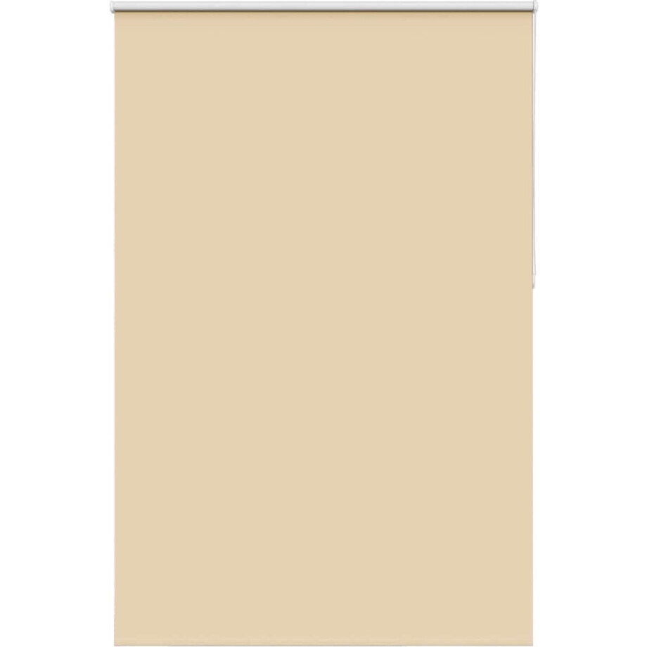vidaXL Rolgordijn - Verduisterend - 160x210 cm - Beige vidaXL Rolgordijn - Verduisterend - 160x210 cm - Beige afbeelding 1