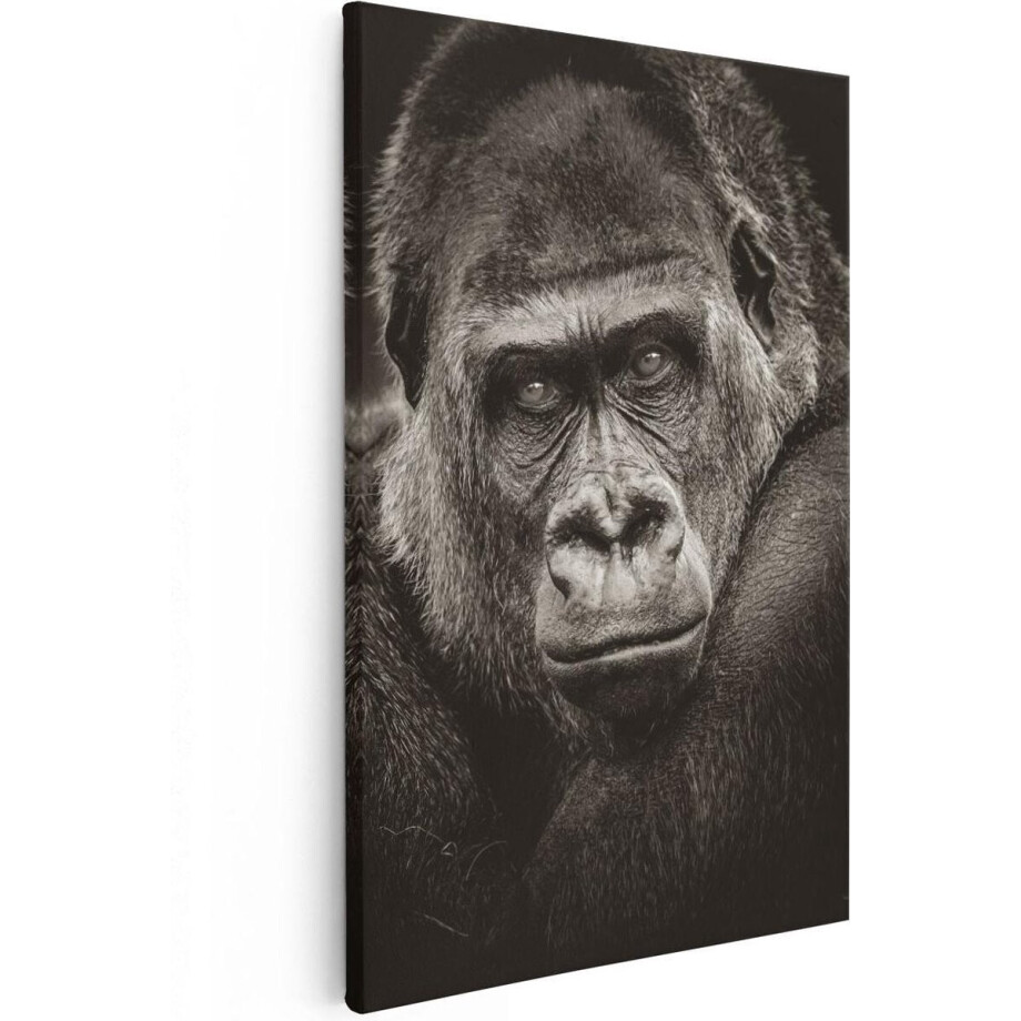 Artaza Canvas Schilderij Aap - 40x60 cm - Wanddecoratie Dieren - Muurdecoratie Portret - Schilderijen Op Canvas Artaza Canvas Schilderij Aap - 40x60 cm - Wanddecoratie Dieren - Muurdecoratie Portret - Schilderijen Op Canvas afbeelding 1