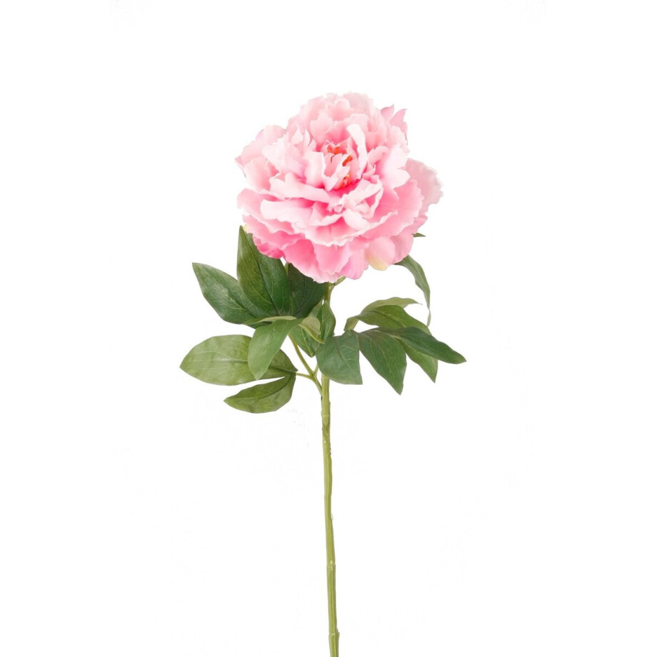 Emerald - Kunstbloem Pioenroos 65cm lichtroze - Kunstplant voor binnen afbeelding 1