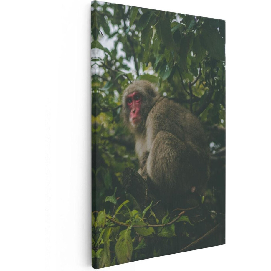 Artaza Canvas Schilderij Aap In De Boom Tussen De Bladeren - 20x30 - Klein - Foto Op Canvas - Canvas Print Artaza Canvas Schilderij Aap In De Boom Tussen De Bladeren - 20x30 - Klein - Foto Op Canvas - Canvas Print afbeelding 1