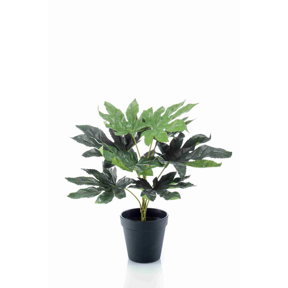 Emerald - Kunstplant in pot Fatsia 30cm - Kunstplant voor binnen Emerald - Kunstplant in pot Fatsia 30cm - Kunstplant voor binnen afbeelding 1
