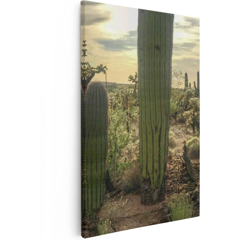 Artaza Canvas Schilderij Cactus Planten in het Wild - 20x30 - Klein - Foto Op Canvas - Canvas Print afbeelding 1