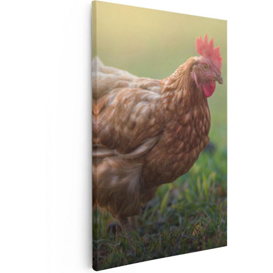 Artaza Canvas Schilderij Kip in het Gras - 40x60 - Poster Foto op Canvas - Canvas Print afbeelding 1
