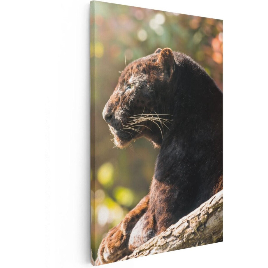 Artaza Canvas Schilderij Zwarte Panter Vanaf De Zijkant - 40x60 - Poster Foto op Canvas - Canvas Print afbeelding 1